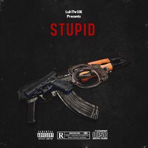 Stupid (Explicit)