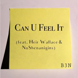 Can U Feel It (feat. Heir Wallace & NoShenanigins) [Explicit]