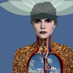 Raptado / No Tengo Cuidado