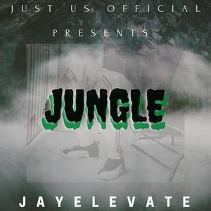 Jungle (Explicit)