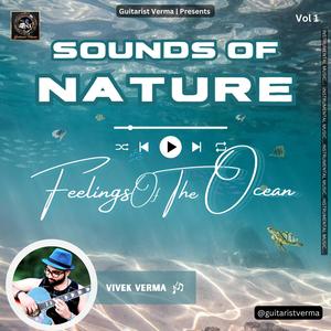 Feelings Of The  Ocean (