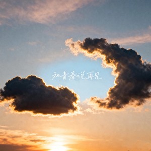 和青春说再见