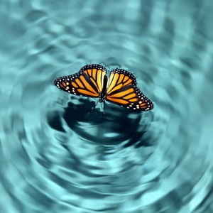 From Chaos Comes Clarity (feat. Raven) (Explicit)