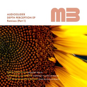 Depth Perception (RIGOONI Streaming Edit)