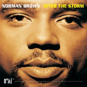 After The Storm (Album Version)