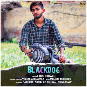 Black Dog - Single