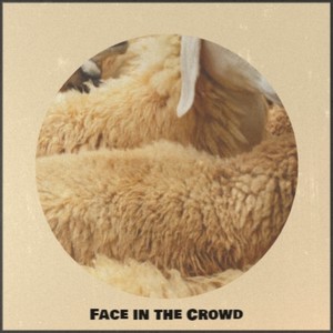 Face in the Crowd