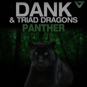 Panther (Original Mix)
