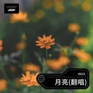 孤单背影 (Live)封面