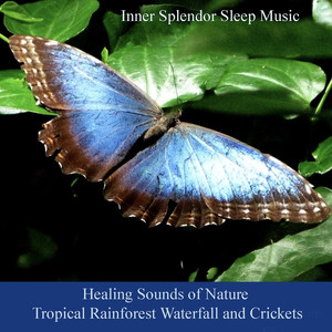 Healing Sounds of Nature Tropical Rainforest Waterfall and Crickets