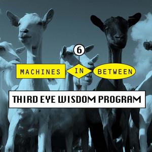 Episode 6: Third Eye Wisdom Program