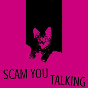 Scam You (feat. Nat James & madeinthewild) (Explicit)