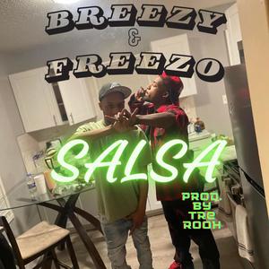 Salsa (feat. Breezy) [Explicit]