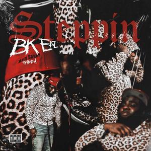 STEPPIN (Explicit)