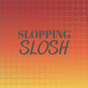 Slopping Slosh