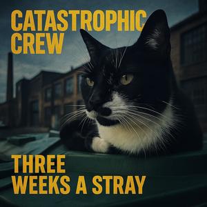 Three Weeks a Stray (feat. Roo Cat)