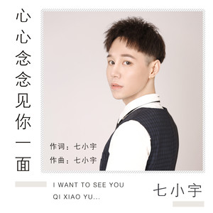 心心念念见你一面