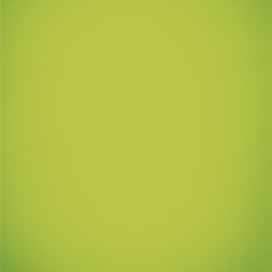 stickerbush symphony