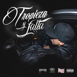 Tropieza y falla (feat. Dj Shak) (Explicit)