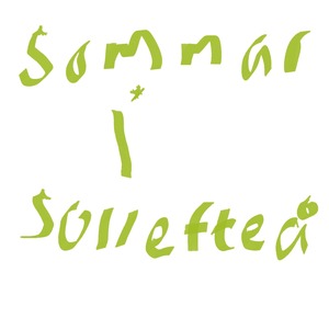 Sommar i sollefteå (Explicit)