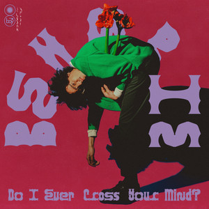 Do I Ever Cross Your Mind?