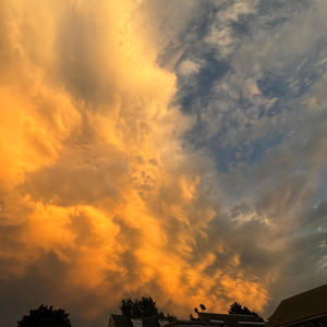 imma star (feat. Mally_02) (Explicit)