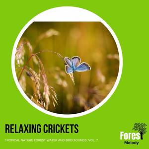 Relaxing Crickets - Tropical Nature Forest Water and Bird Sounds, Vol. 7