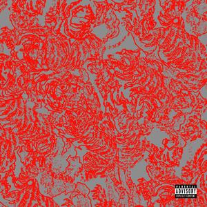 shikasta (feat. saintayga) (Explicit)