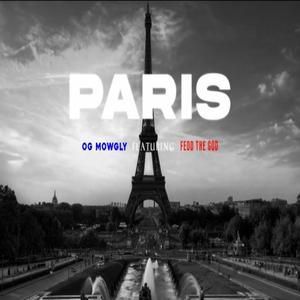 PARIS (feat. Fedd The God) (Explicit)