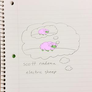 Electric Sheep