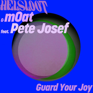 Guard Your Joy (Acoustic Version)