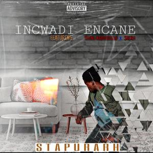 Incwadi encane (feat. Sneh & Young Mabhodlela) [Radio Edit] [Explicit]