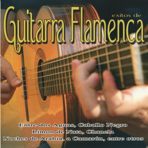 Exitos de Guitarra Flamenca