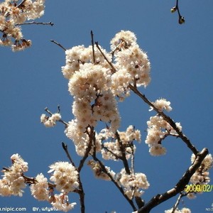 故乡，永远的眷恋