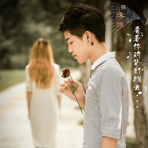 看着你的背影离去