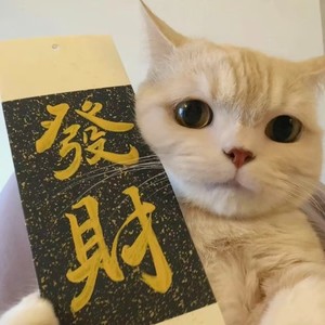 梦醒时分 (暴富版)