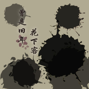 曾是旧年花下客