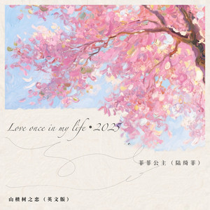山楂树之恋 (英文版Love once in my life)