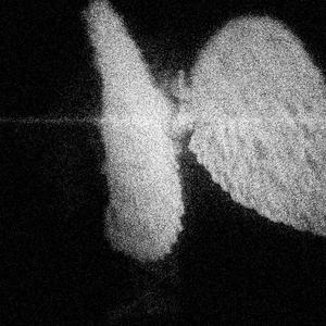 pretty liar (Explicit)