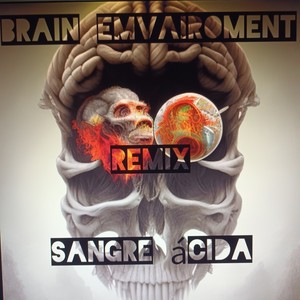 Brain Emvairoment (Remix|Explicit)