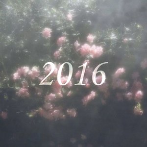 2016 (Explicit)