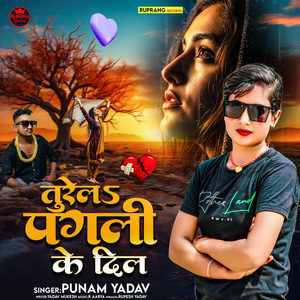 Turela Pagali Ke Dil