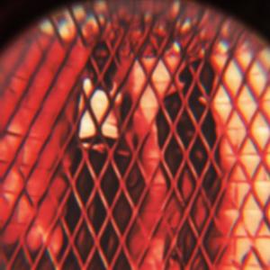 Rxck Star Jeans (feat. Zlacxx) (Explicit)