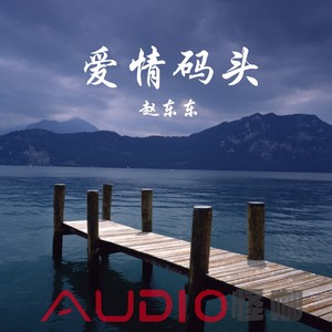 为情所伤 (DJ版)