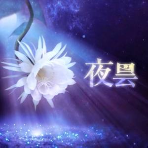 夜昙