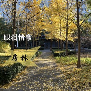 房林 - 眼泪情歌