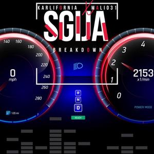 SGIJA Break Down