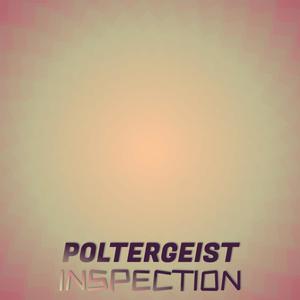 Poltergeist Inspection