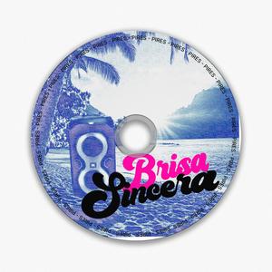 MEGA FUNK BRISA SINCERA