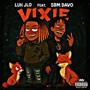 Vixie (feat. SBM Davo) (Explicit)